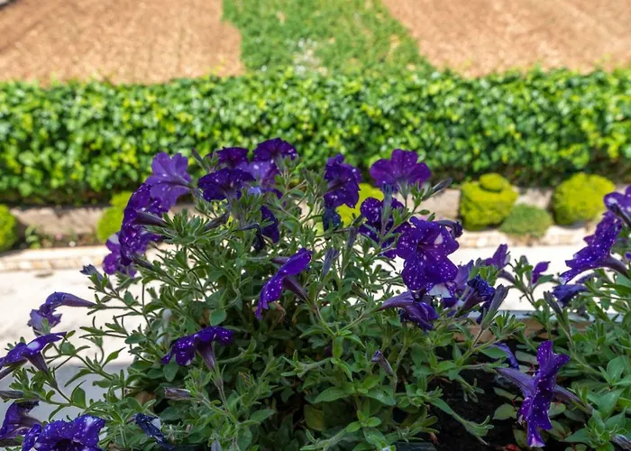 Marinella * טרוגיר